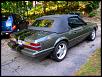 Lets see your mustang!!-dscn6403.jpg