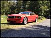 Lets see your mustang!!-beeaa069-87e5-493d-8df1-3a0a4b45589b-186-000000056b321075_zps7aeee98d.jpg