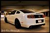 Lets see your mustang!!-66269_10152178240475463_1175428581_n.jpg