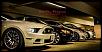 Lets see your mustang!!-559003_10152252346015463_674865452_n.jpg
