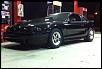 Lets see your mustang!!-stangss.jpg