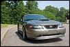 Lets see your mustang!!-mustang009.jpg