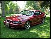 Lets see your mustang!!-img_1196.jpg