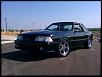 Lets see your mustang!!-416419_444161832269321_112695530_o.jpg