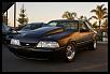 Lets see your mustang!!-dsc03068-1.jpg