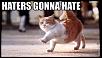 Lets see everyone's latest picture!-haters-gonna-hate_zps1c408f55.jpg