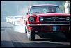 Lets see your mustang!!-burnout.jpg