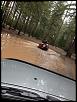 Lets see everyone's latest picture!-image-916729597.jpg