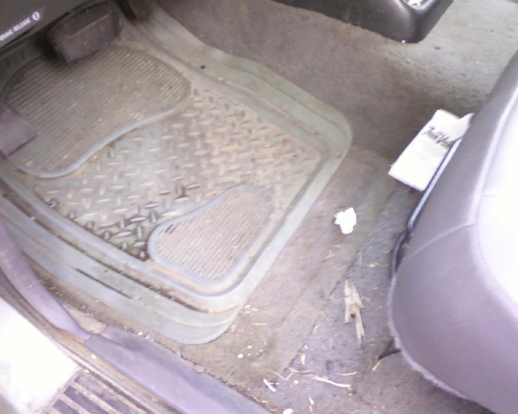 Name:  Photo12291340_zpse0bc3b28.jpg
Views: 237
Size:  67.5 KB