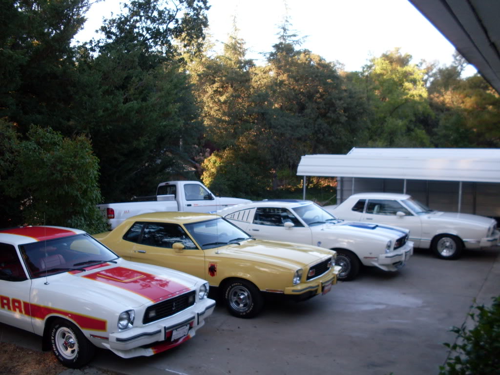 Name:  SDC10820.jpg
Views: 180
Size:  137.6 KB