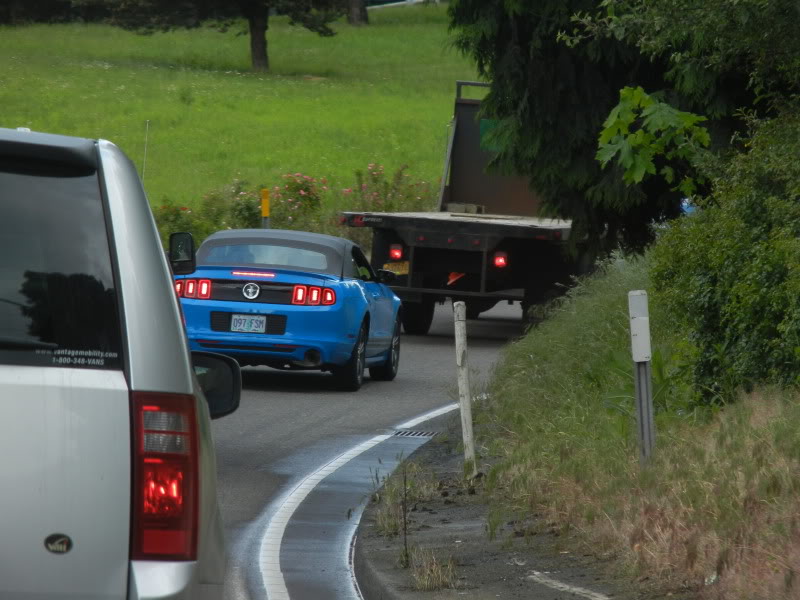 Name:  DSCN9451.jpg
Views: 65
Size:  82.6 KB