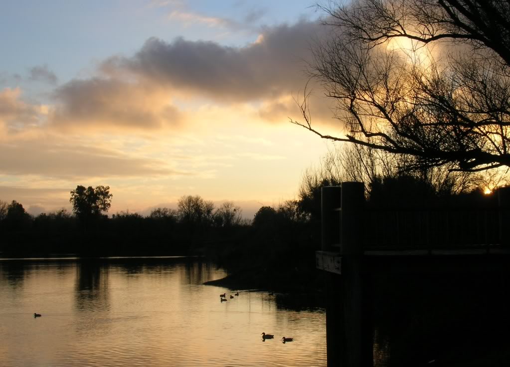 Name:  021-4.jpg
Views: 54
Size:  102.5 KB