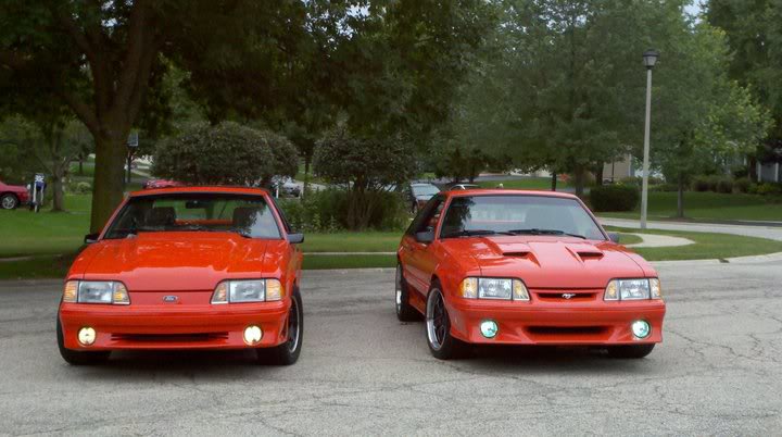Name:  2orangemustangs.jpg
Views: 94
Size:  54.4 KB