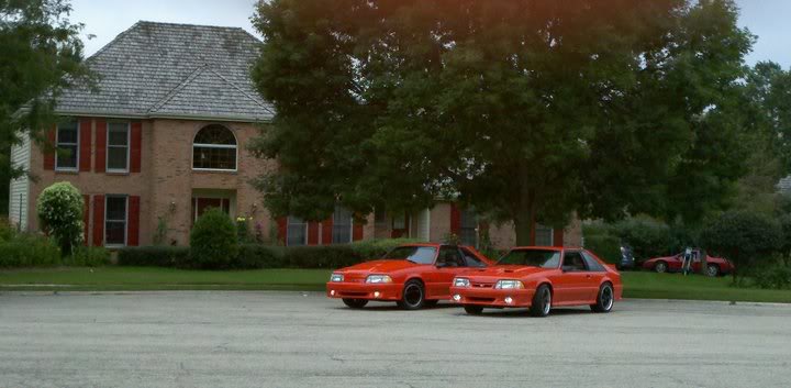 Name:  2orangemustangs2.jpg
Views: 78
Size:  42.6 KB