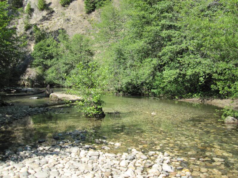 Name:  IMG_0080.jpg
Views: 60
Size:  128.3 KB