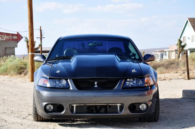 Name: DSC_0030.jpg
Views: 196
Size: 90.5 KB