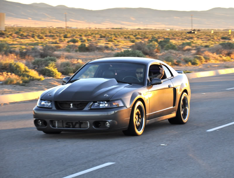 Name:  DSC_0142_2.jpg
Views: 205
Size:  88.6 KB