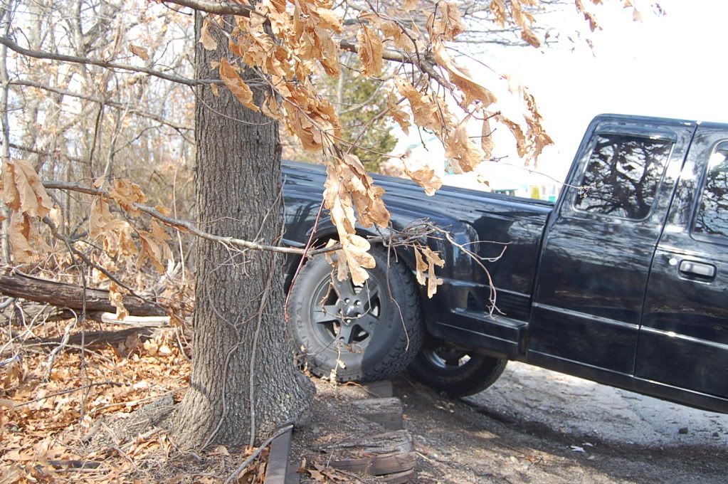 Name:  DSC_0069.jpg
Views: 99
Size:  224.6 KB