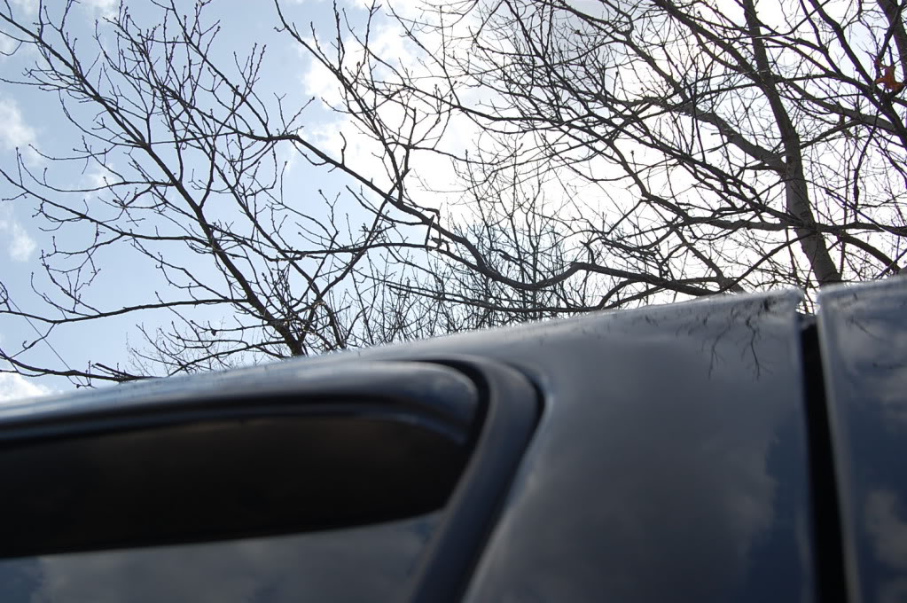 Name:  DSC_0050.jpg
Views: 120
Size:  186.5 KB