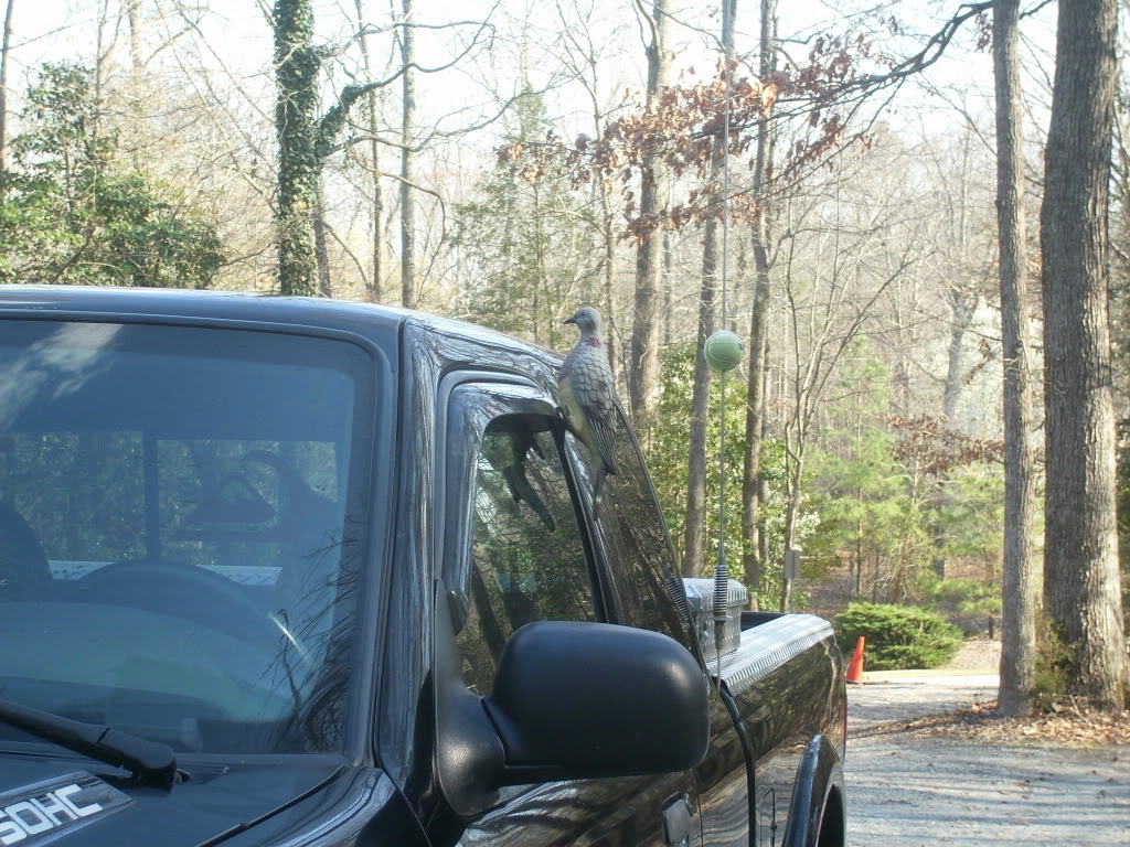 Name:  DSCI0078-1.jpg
Views: 68
Size:  227.4 KB