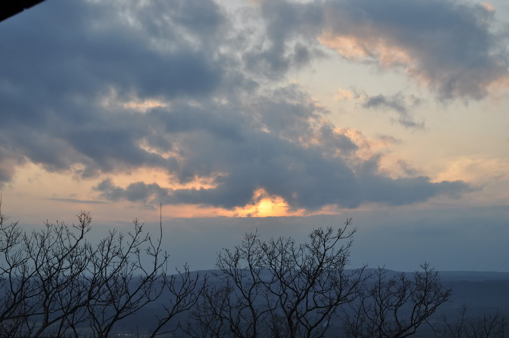 Name: DSC_0393.jpg
Views: 93
Size: 87.4 KB