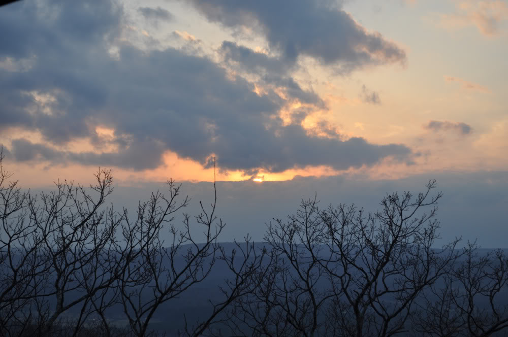 Name: DSC_0380.jpg
Views: 76
Size: 95.9 KB