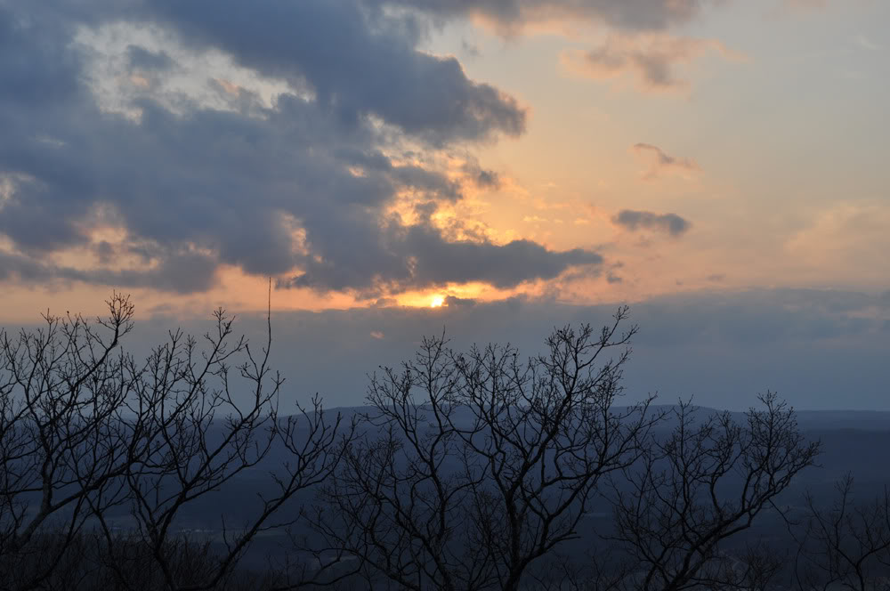 Name: DSC_0377.jpg
Views: 96
Size: 95.0 KB