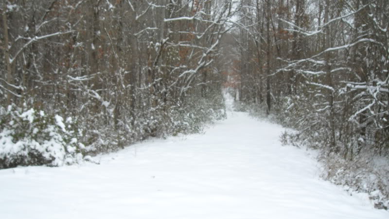 Name:  022.jpg
Views: 122
Size:  68.3 KB