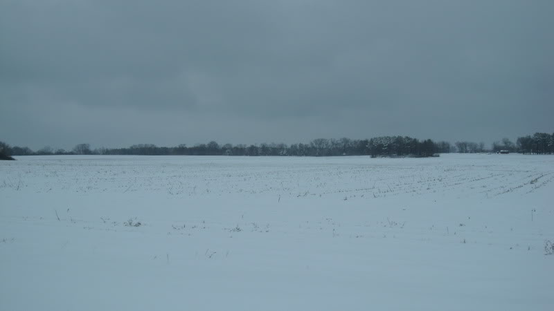 Name:  020.jpg
Views: 76
Size:  18.4 KB
