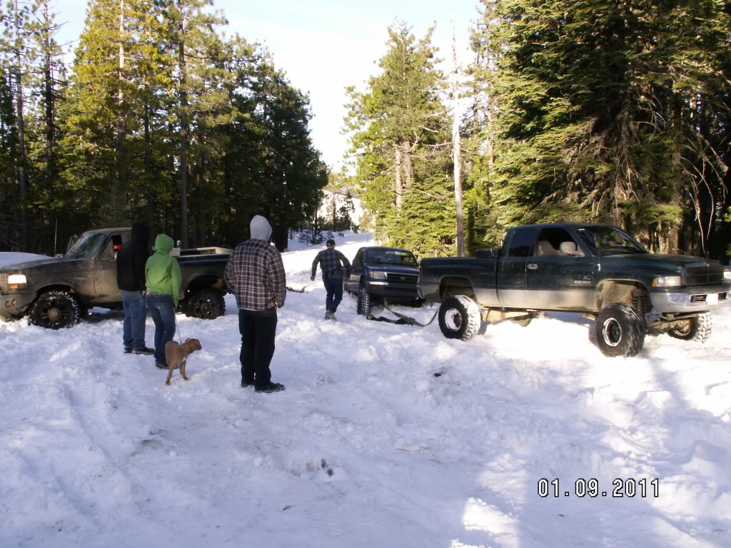 Name:  PICT5221.jpg
Views: 66
Size:  200.9 KB