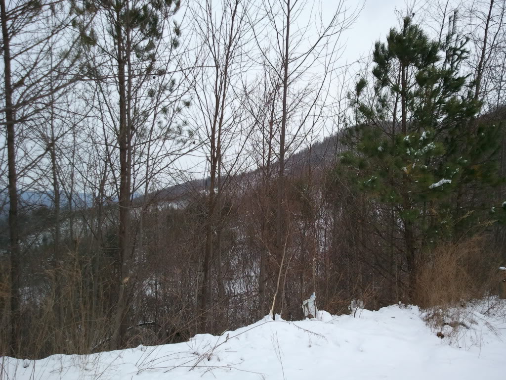 Name:  2010-12-26121010.jpg
Views: 165
Size:  262.1 KB