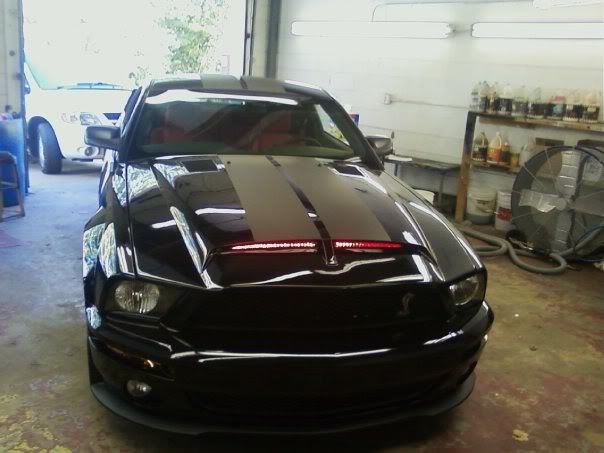 Name: stang1.jpg
Views: 382
Size: 41.5 KB