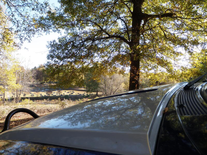Name:  PB120969.jpg
Views: 62
Size:  164.8 KB