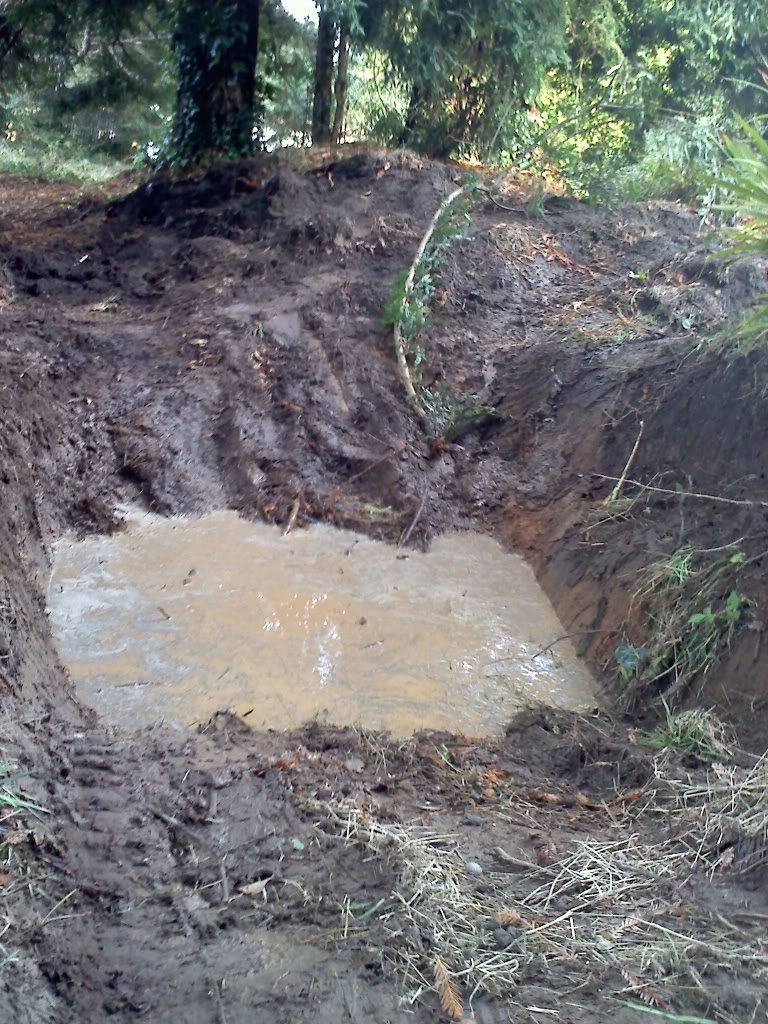 Name:  20101030163510.jpg
Views: 144
Size:  231.2 KB