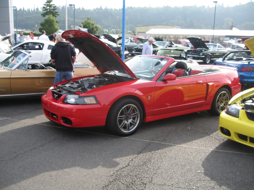 Name: IMG_1181.jpg
Views: 1538
Size: 167.9 KB
