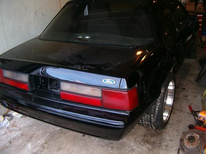 Name: HPIM3616.jpg
Views: 1498
Size: 61.6 KB