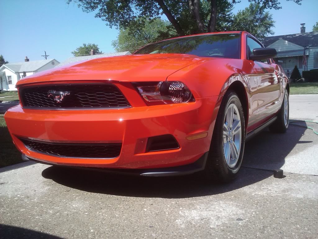 Name:  2010-07-17110201.jpg
Views: 1495
Size:  162.2 KB