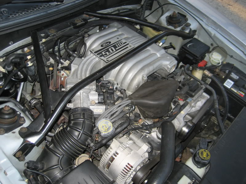 Name:  IMG_4344.jpg
Views: 2043
Size:  123.1 KB