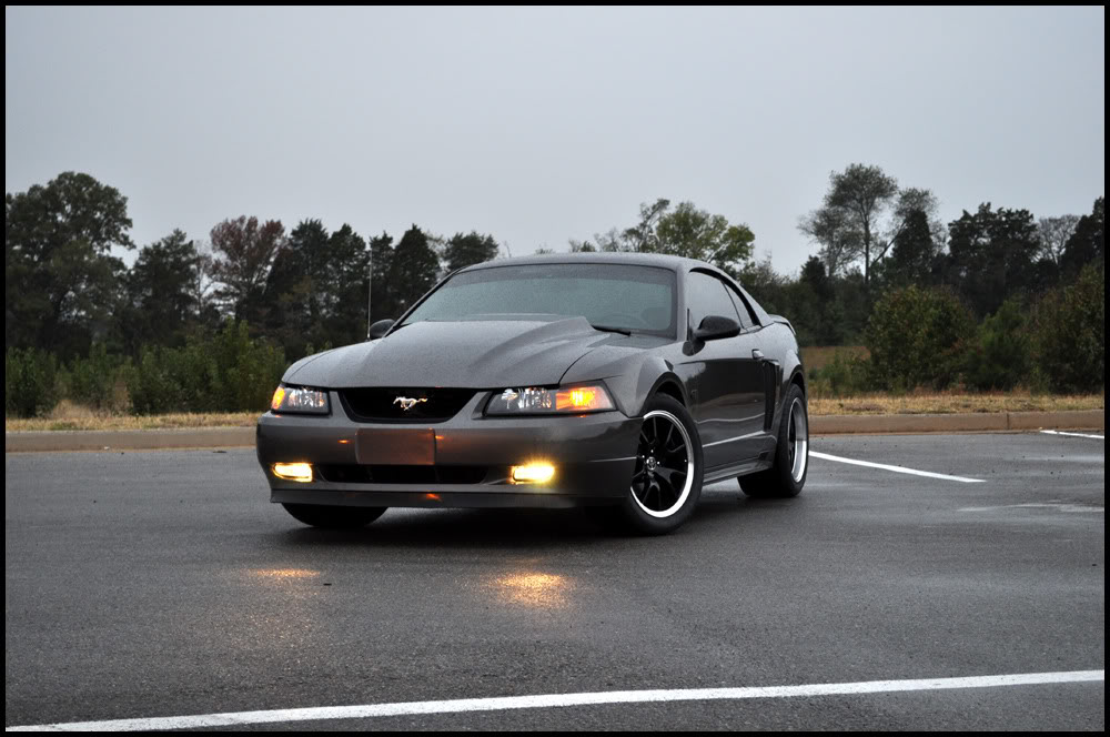 Name:  DSC_0681copy.jpg
Views: 57
Size:  123.0 KB