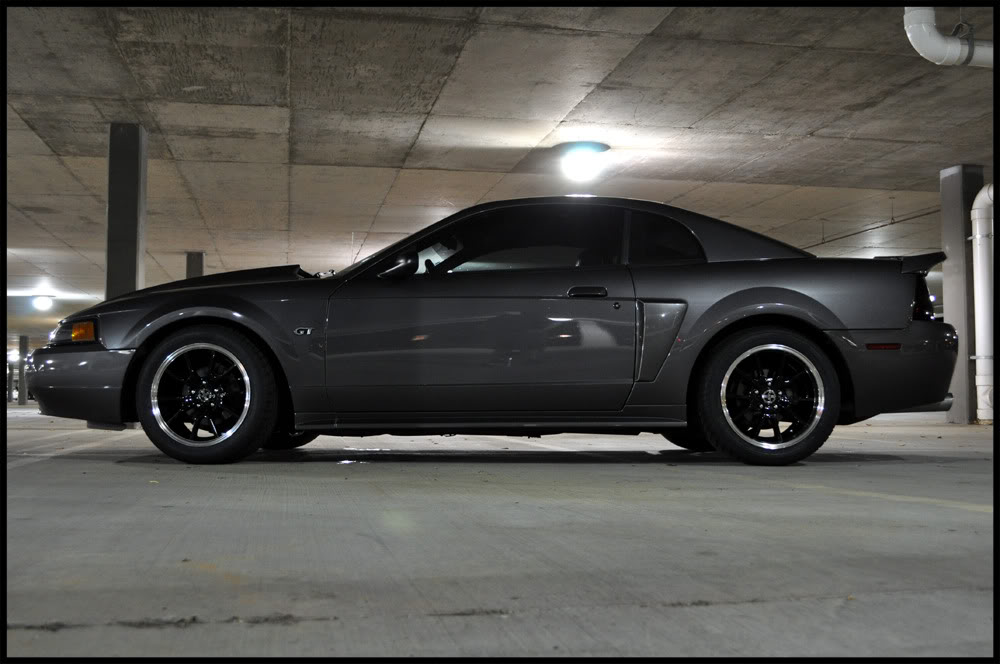 Name:  DSC_0680copy.jpg
Views: 101
Size:  91.0 KB