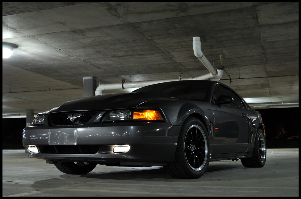 Name:  DSC_0661copy.jpg
Views: 162
Size:  84.6 KB