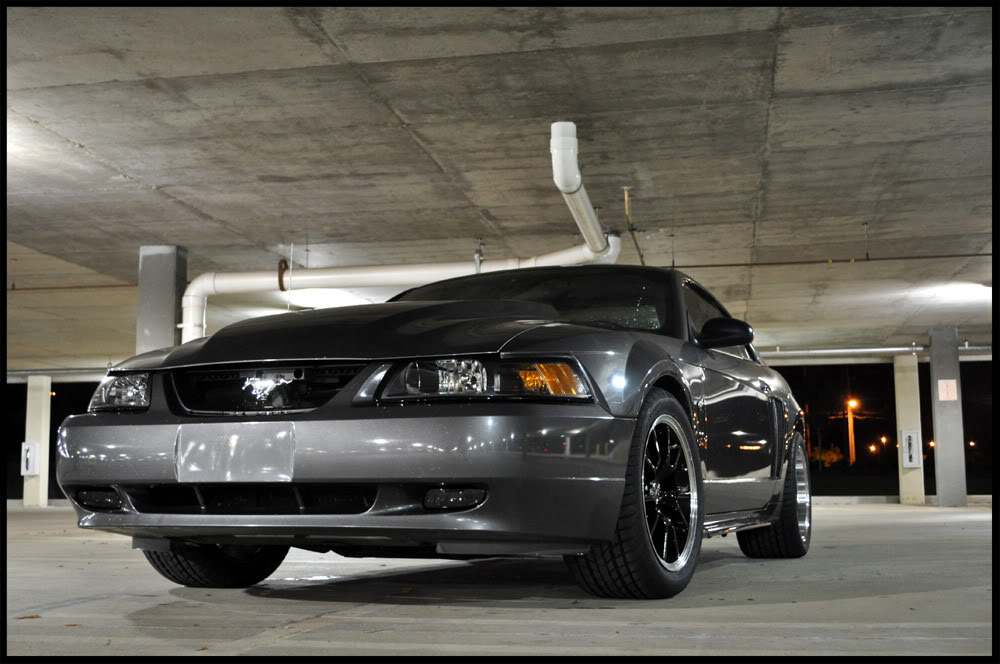 Name:  DSC_0659copy.jpg
Views: 81
Size:  102.2 KB