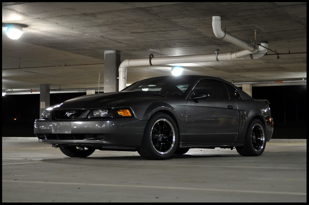 Name:  DSC_0658copy.jpg
Views: 89
Size:  85.0 KB