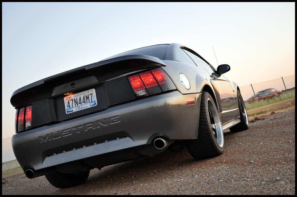 Name:  DSC_0504copy.jpg
Views: 42
Size:  111.1 KB