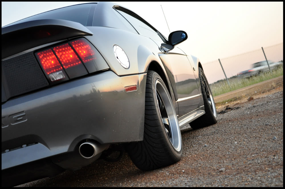 Name:  DSC_0503copy.jpg
Views: 45
Size:  119.6 KB
