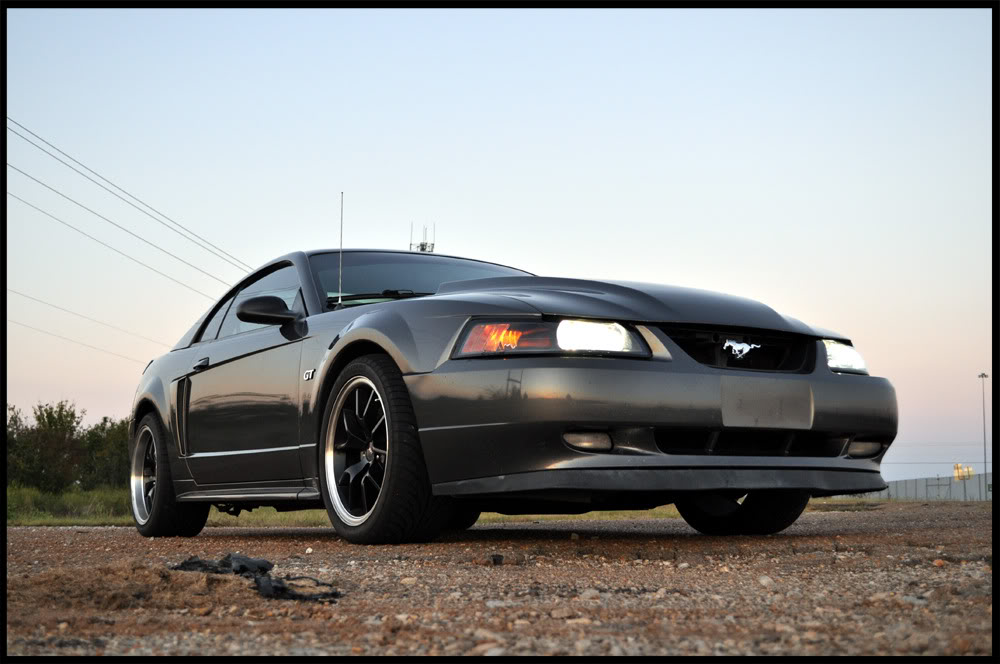 Name:  DSC_0495copy.jpg
Views: 45
Size:  98.8 KB