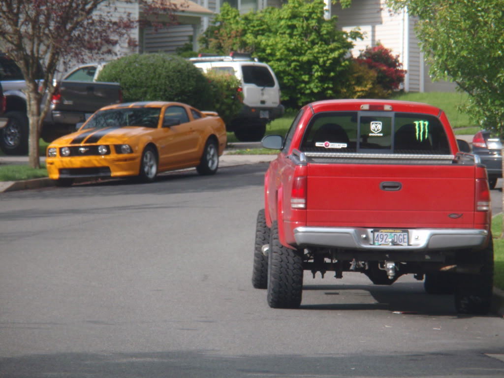 Name:  P5310143.jpg
Views: 82
Size:  129.6 KB