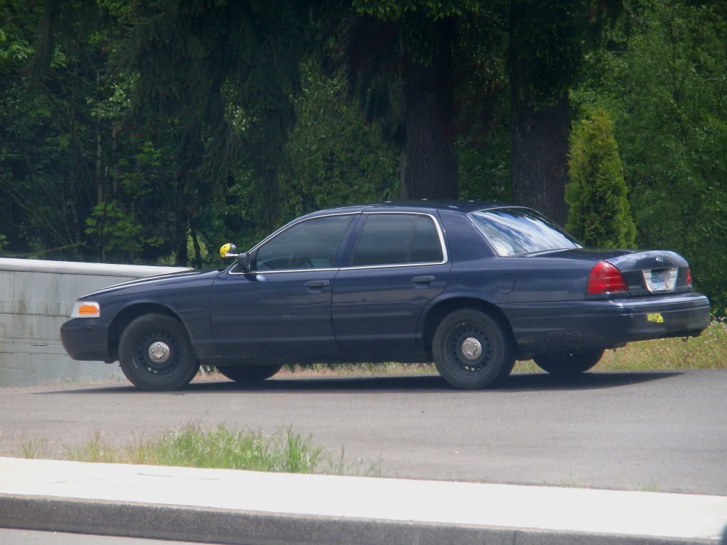 Name:  P5310134edit.jpg
Views: 60
Size:  129.2 KB