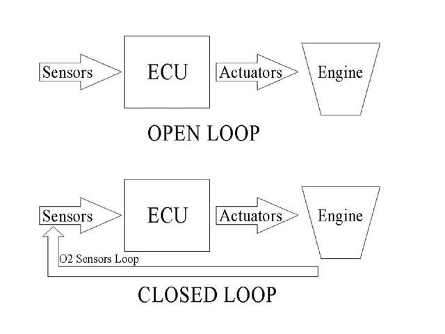 Name:  Loops.jpg
Views: 146
Size:  23.3 KB