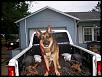God,Country,FORD's sl is finally done!! (PICS)-truck8-2.jpg